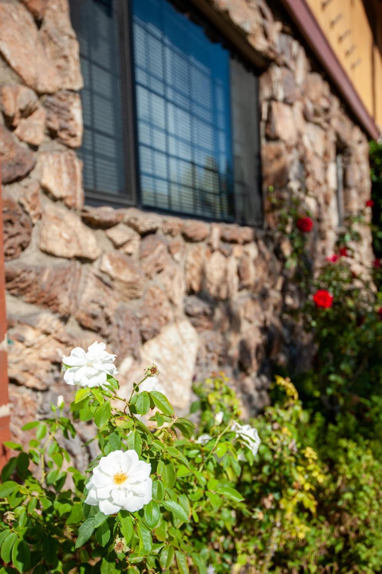 Studio City Court Yard Hotel Exterior photo